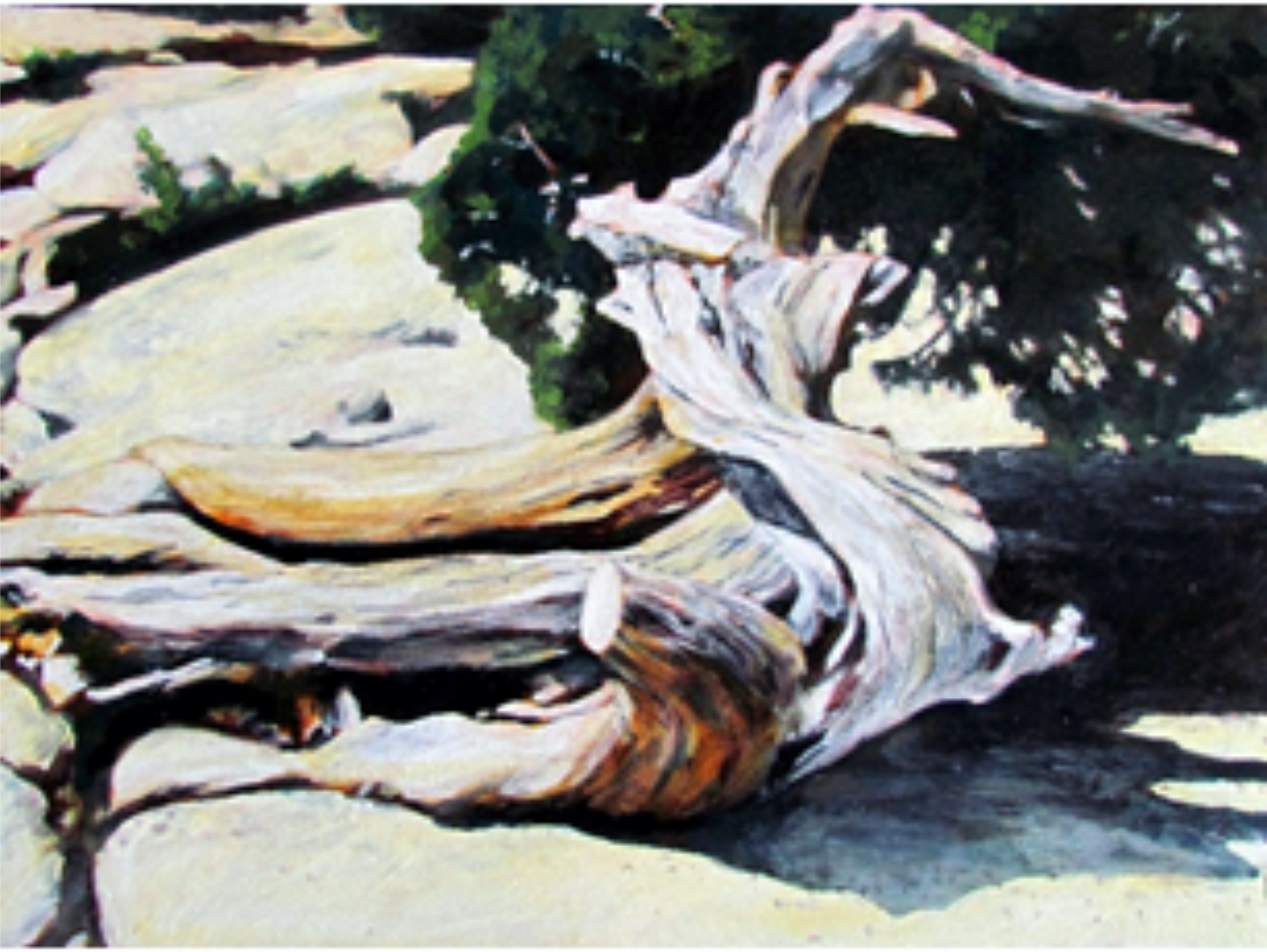 Half Dome Reboot-12×16-HD – Steve Rayner